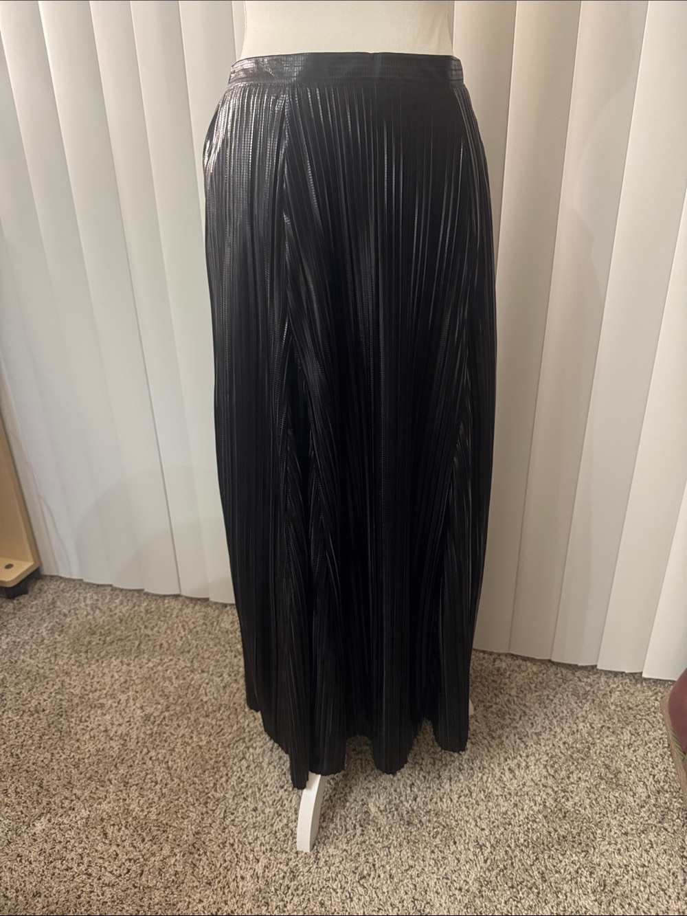 Anthropologie Black Pleated Maxi Skirt